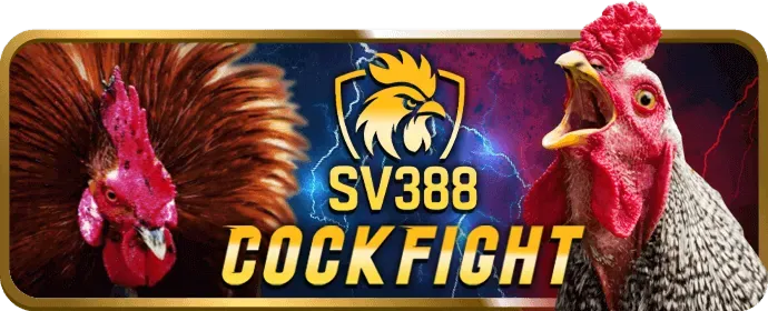 Đội ngũ hỗ trợ khách hàng của 69vm casino sẵn sàng giải đáp thắc mắc